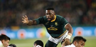 Rugby – England Vs South Africa: English Players Star In A Close Win england vs south africa