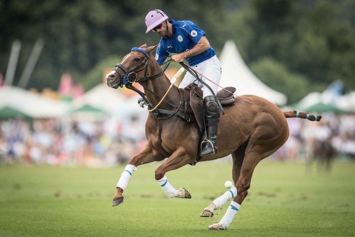 Pieres Facundo Polo Rankings