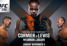 Martial Arts – UFC: Highest Grossing Events Of 2018 UFC