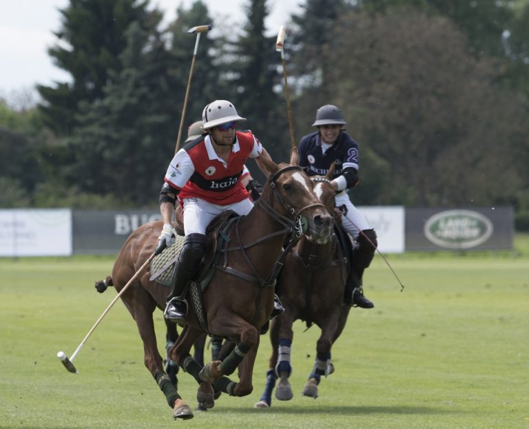 Polo in Pink