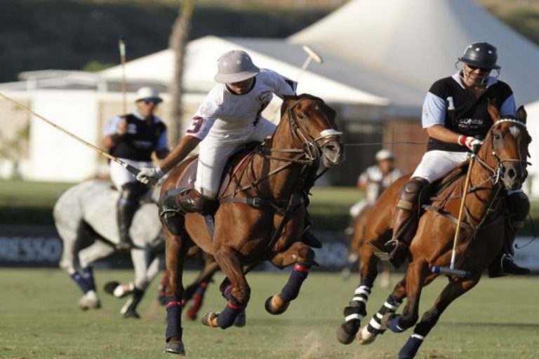 Polo Cup 2018