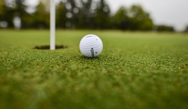 PGA Ladies Golf Championship