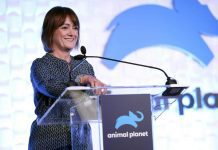 Football: Sussane Dinnaga Turns Down Premier League CEO Role Susanna Dinnage
