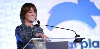 Football: Sussane Dinnaga Turns Down Premier League CEO Role Susanna Dinnage