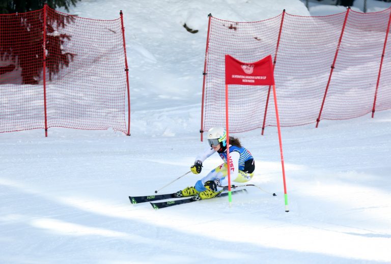 Alpine Ski Cup 2019