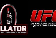 MMA-Martial Arts: Bellator Champions Who Moved To The UFC
