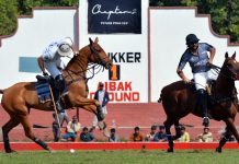 Punjab Polo Cup 2019: Newage/Diamond Paints & Barry’s In Final Punjab Polo Cup 2019