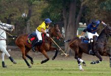 National Open Polo C’ship for Quaid-e-Azam Gold Cup ’19: Day 1 For ‘Paint’ Teams Quaid-e-Azam Gold Cup '19