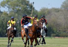 National Open Polo C’ship For Quaid-e-Azam Gold Cup ’19: Master Paints Edge Into Finals Quaid-e-Azam Gold Cup '19