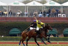 National Open Polo C’ship For Quaid-e-Azam Gold Cup ’19 – Final: Master Paints Black To Play Master Paints Quaid-e-Azam Gold Cup '19