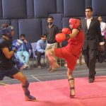 Pakistan Punjab Games