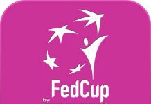 Fed Cup ’19: Semifinals, World Group & World Group II Play-off Results Fed Cup '19