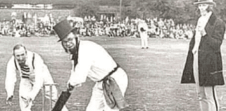 Allsportspk Factual Humour: Cricket Ball In Tree & 286 Runs