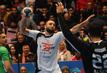 Men’s Handball Championship ’20: Continental Finalists Confirmed Handball
