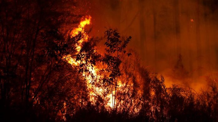 Bushfires Australia Bushfires Australia