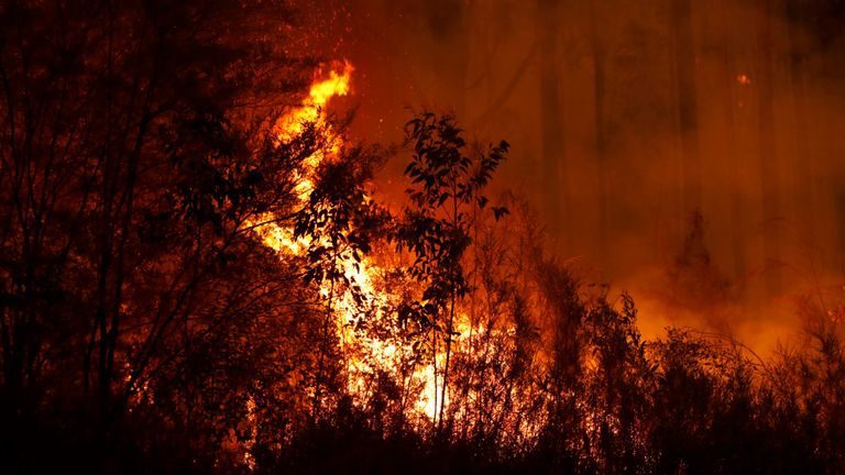 Bushfires Australia