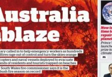 Australia Bushfires: Sports Stars Auction Belongings To Raise Funds