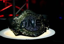 MMA-One Championship: 2020 Schedule Announced; New Event “One Infinity Series” Created