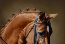 Allsportspk Sports Art: Horses In Realism