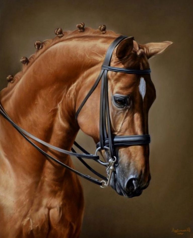 Allsportspk Sports Art: Horses In Realism