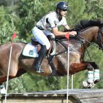 Azad-Kashmir-horse-1
