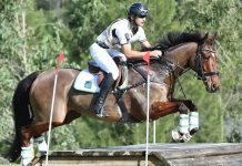 Allsportspk Obituary: Olympics Qualified Horse ‘Azad Kashmir’ Dies