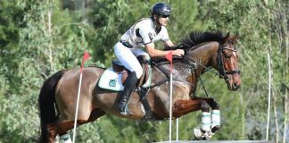 Allsportspk Obituary: Olympics Qualified Horse ‘Azad Kashmir’ Dies