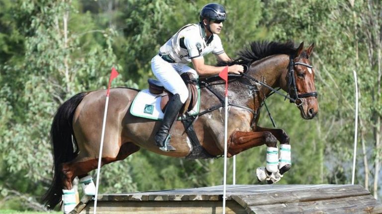 Allsportspk Obituary: Olympics Qualified Horse ‘Azad Kashmir’ Dies