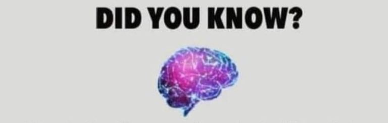 Allsportspk Knowledge: Brain Power To Reshape Reality