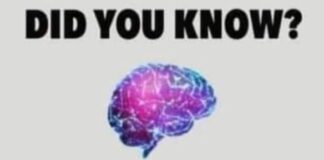 Allsportspk Knowledge: Brain Power To Reshape Reality