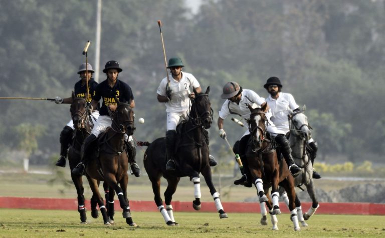 Tenacious Polo 2021: Day 3; HN Polo Qualifies For Final