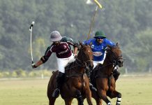 Tenacious Polo 2021: Remounts To Play Final With HN Polo; Evan Shows Class
