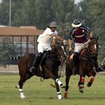 polo-3