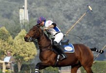 2010 Lahore Open Polo Championship: Day 7; Diamond/Sheikhoo Victorious; Andres Fires 4 Goals