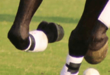 New Year Polo Cup 2021-Final: Islam Group Victorious; Raja Samiullah Outshines