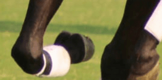 New Year Polo Cup 2021-Final: Islam Group Victorious; Raja Samiullah Outshines