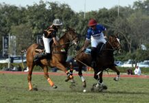Quaid-e-Azam Gold Cup Open 2022: Day 2-Remounts; DP & Newage Register Victories