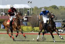 21st Quaid-e-Azam Gold Cup 2022: HN Polo & Newage/Master Paints Into Prestigious Final