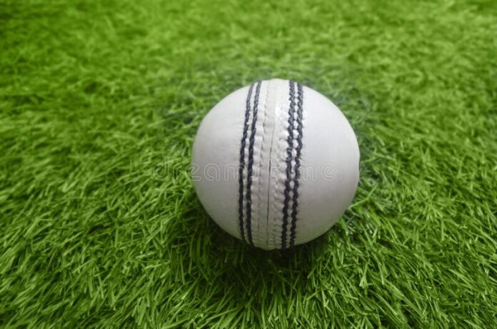 collection-leather-cricket-ball-hard-thread-stitch-close-up-isolated-white-background-india-193542967