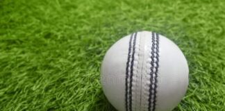 White-ball Cricket: Pakistan Players Timid Mindset- The Real Hurdle