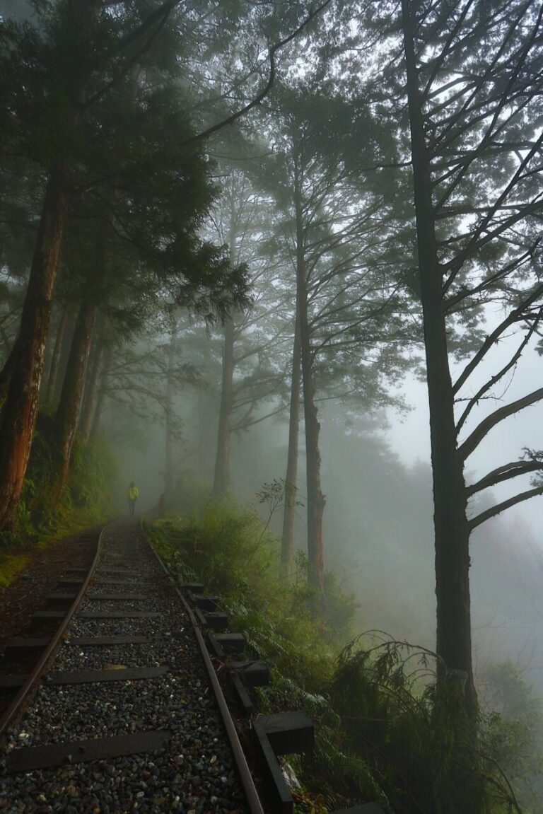 World’s First Quiet Trail: Receives International Recognition Certificate