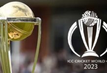 ICC Cricket World Cup ODI Qualifier 2023: USA & UAE Qualify