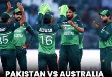 2024 Pakistan Tour Australia-3rd ODI: Greens Win Series In Style