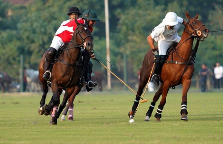 Pink Polo Cup 2025: Day 3 I Master Paints Into The Final