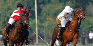 Pink Polo Cup 2025: Day 3 I Master Paints Into The Final